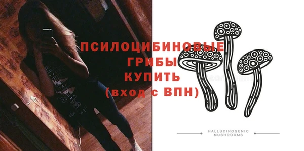 кокс Богородск