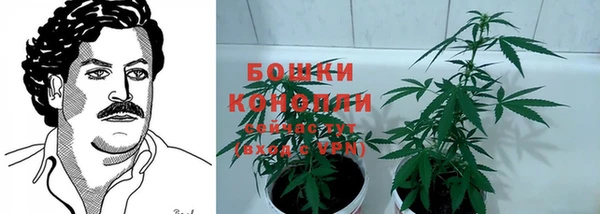 ГАЛЛЮЦИНОГЕННЫЕ ГРИБЫ Белоозёрский