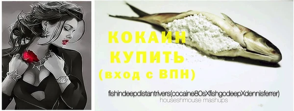 таблы Богданович
