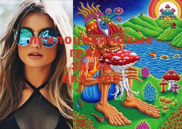 таблы Богданович