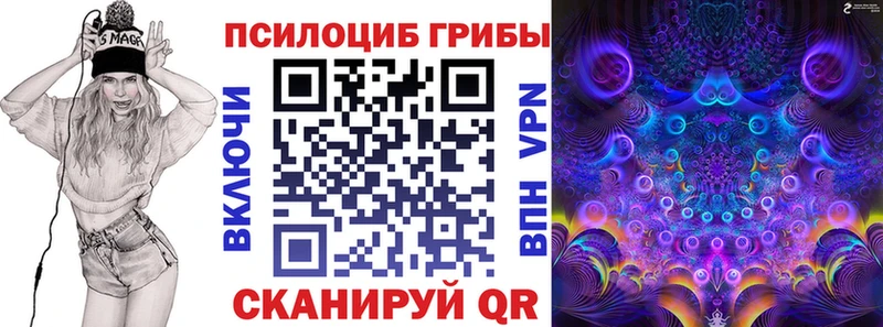 Псилоцибиновые грибы прущие грибы  гидра зеркало  Козловка  наркошоп 